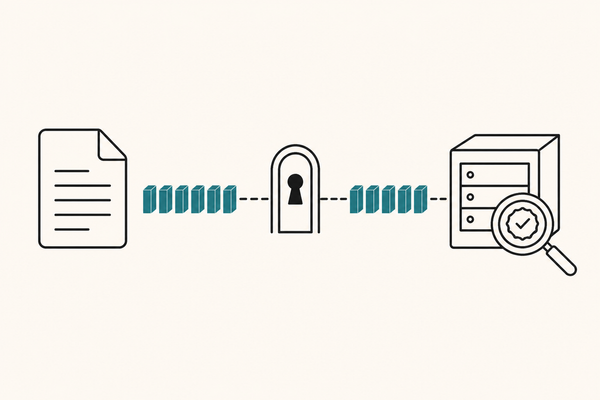 A file split into chunks, arriving at a server